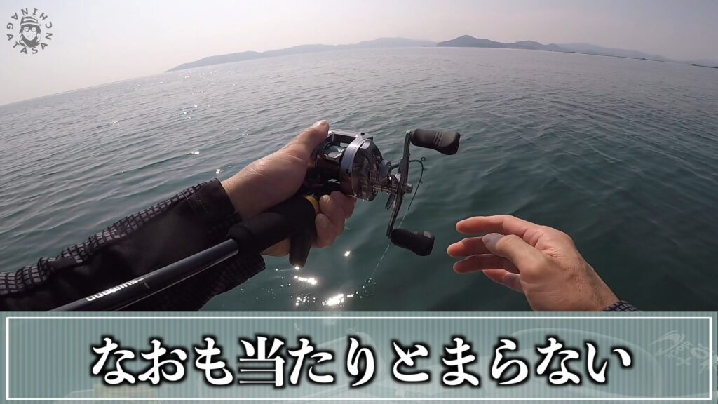炎月SSのしなり